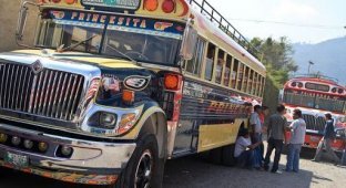 Куриные автобусы в Латинской Америке. (22 Фото)