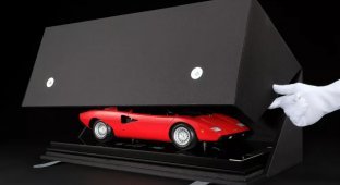 Lamborghini toy cars priced at $20,000 (14 photos)