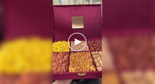 Cute sets with nuts and dried fruits