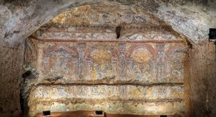У Римі виявлено 2300-річну мозаїку з черепашок (6 фото + 1 відео)