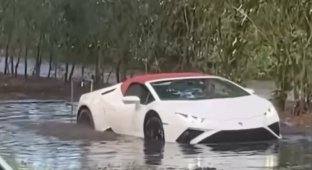 Bad weather forced: Lamborghini supercar crossed a water obstacle (2 photos + 1 video)