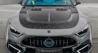 Mansory has a hand in the Mercedes-AMG SL 63 (10 photos)