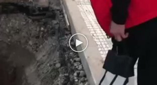 Любопытство не довело до добра (мат)