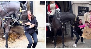 Лошадь Королевской гвардии укусила туристку, которая решила с ней сфотографироваться (7 фото + 6 видео)