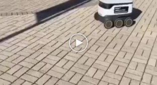 Delivery robot sabotages the parade