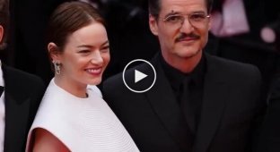 Emma Stone was attacked by a bee in Cannes