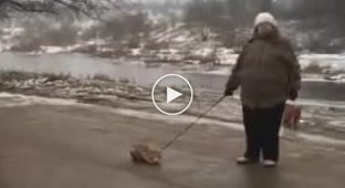В Боровичах неадекватная женщина издевалась над котом, таская его по грязи на поводке