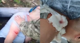 Белорусские пограничники нашли пятерых избитых мигрантов из Ирака (5 фото + 2 видео)
