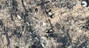 Soldiers of the 93rd Mechanized Infantry Brigade using drone drops destroy the invaders in the Liman direction