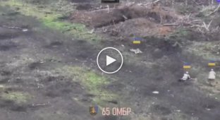 Украинские подразделения 65-ой механизированной бригады поймали двух оккупантов под Новопроповкой в сторону Запорожья