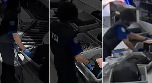 Сотрудники службы безопасности аэропорта попались на краже (7 фото + 1 видео)