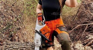 Прикольные картинки. Выпуск 3177