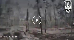 Український FPV-дрон залітає у російський бліндаж у Кремінському лісі