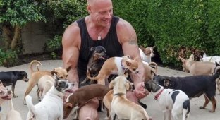 Bobby Himfries adopted 50 stray dogs to escape loneliness (4 photos)