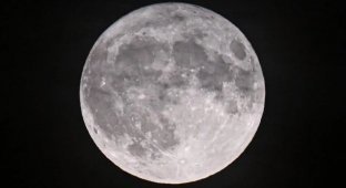 Another full moon graces Earth: check out the best photos of the Strawberry Moon (13 photos)