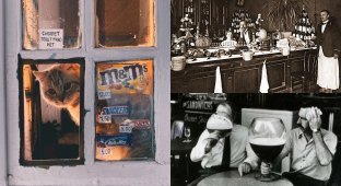 Leap into the past: a selection of colorful shots that capture the spirit of the past (12 photos)