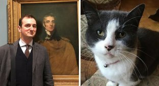 В Британии кот искусствоведа испортил картину XVII века (4 фото)
