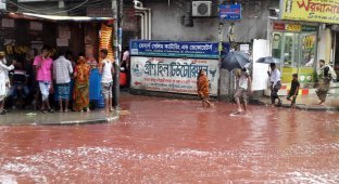 Столицу Бангладеш затопили реки крови (7 фото + 1 видео)