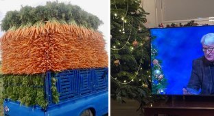 20 photos that will please any perfectionist (21 photos)