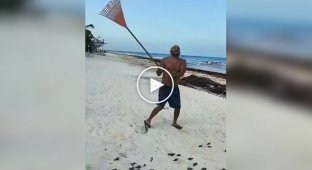 Мужчина пришел на помощь черепахам