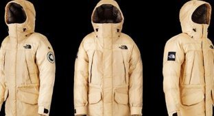 Первая в мире куртка из паучьего шёлка (6 фото)