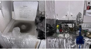 Saving at the max: A vengeful tenant turned a Quebec apartment into an icy hell (4 photos + 1 video)