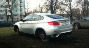 Прикольные картинки. Выпуск 1036