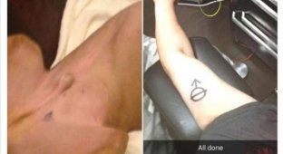 Парень сделал точно такую же татуировку, как у своей кастрированной собаки (2 фото)