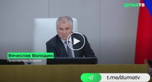 Спикер Госдумы Володин предложил депутатам провести лето на знаменитых курортах «ЛНР» и «ДНР»
