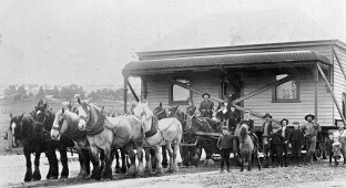 Как в 19-ом веке передвигали здания с помощью лошадей (6 фото)
