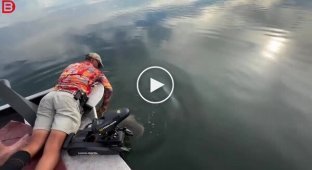 Рыбалка закончилась встречей с крокодилом