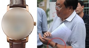 Wristwatch for wearing which a Chinese official was jailed for 14 years (5 photos)