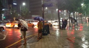 Why is it scary to fall asleep drunk during the rain in Seoul (9 photos)