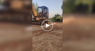 The test is passed - you are accepted as an excavator operator
