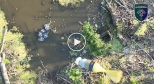 Окупант тоне в болоті після удару дрону