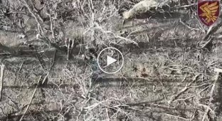 Оккупант с порванным задом догорает в кустах после сброса с украинского дрона