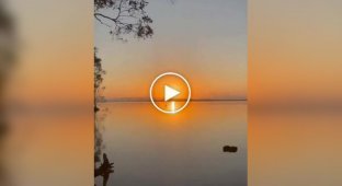 Kangaroo came out to jump in the water