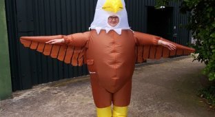 A vacancy has opened at the zoo for people who will wear bird costumes and scare seagulls (3 photos)