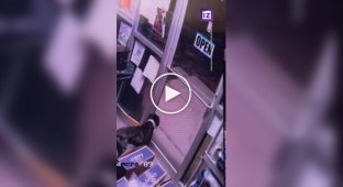 A smart dog escapes from an animal shelter