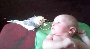 The parrot sings to the child