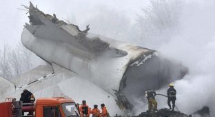 Самые шокирующие авиакатастрофы (16 фото)
