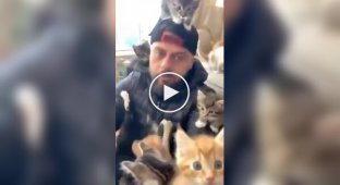 На мужчину напала стая домашних хищников