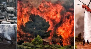 Пожары бушуют в Греции: 74 погибших и 150 раненых (36 фото)