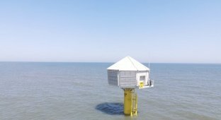 Giant birdhouses built off the coast of Great Britain (5 photos)