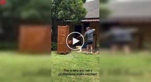 An unexpected "neighbor": tourists opened a closet and found one of the most dangerous snakes in the world