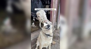 Когда за спиной происходит что-то очень странное