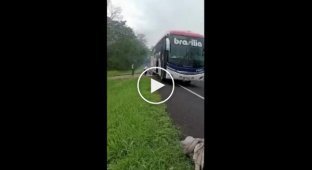 Replacing a wheel on a tourist bus