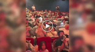 В кинотеатрах в Китае зрителей пускали в зал с собаками