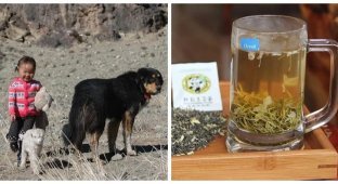 10 фактів із різних галузей знань, які відкриють доступ до таємниць світу (11 фото)