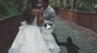 A monkey with a cub joined the newlyweds in a wedding video